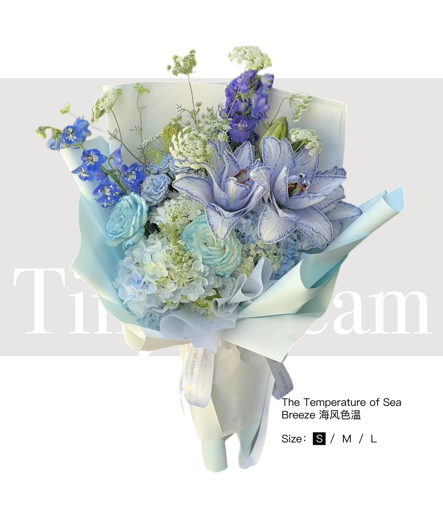 The Temperature of Sea Breeze Bouquet 海风色温