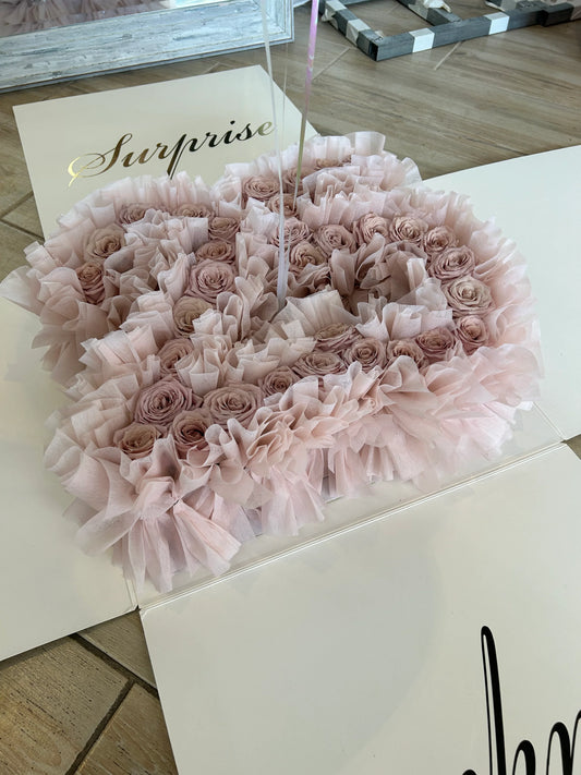 Birthday Number Surprise 生日惊喜数字(定制)