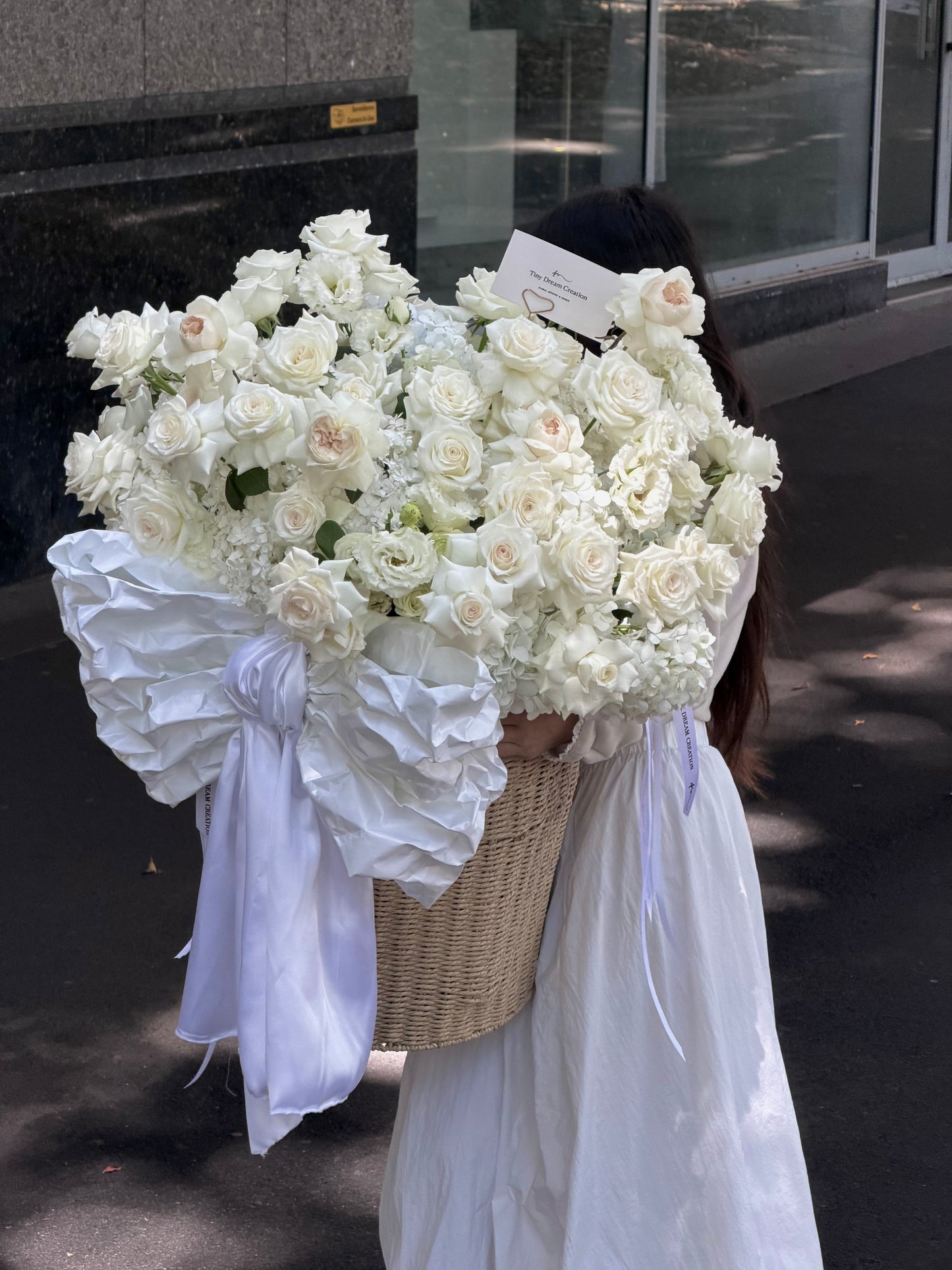 Dream in White 梦中情白