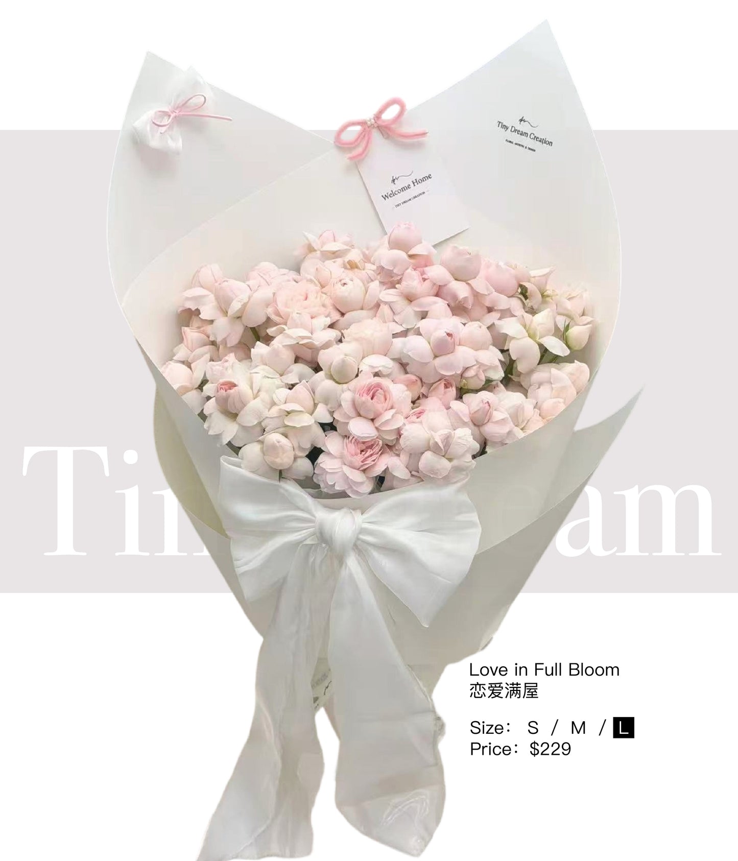 Love in Full Bloom 恋爱满屋