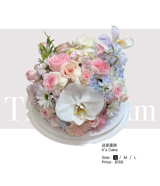 It‘s Cake 这是蛋糕