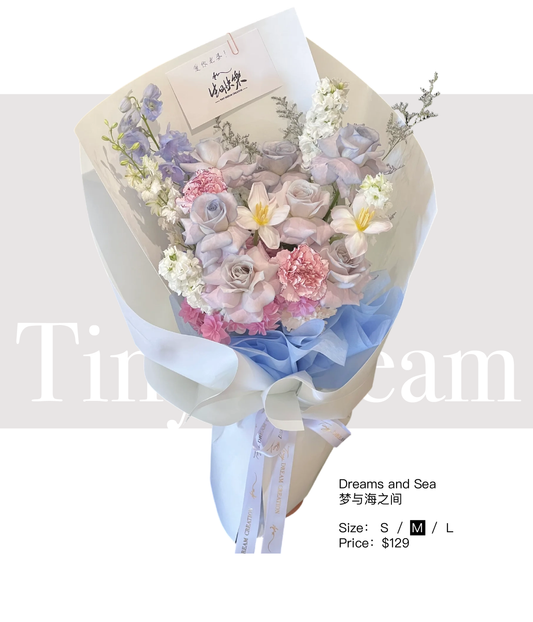 Dreams and Sea 梦与海之间