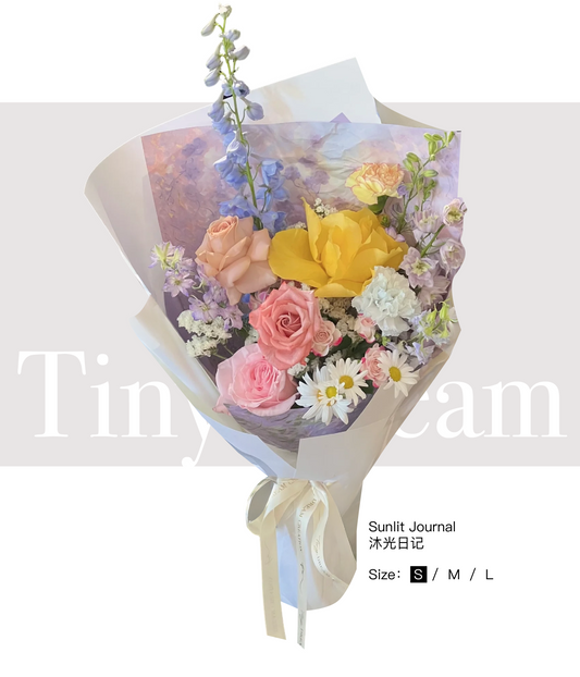 Sunlit Journal 沐光日记