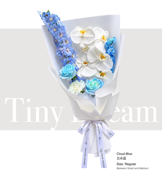 Cloud Blue 云朵蓝 product image