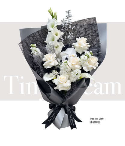 Into the Light 冲破黑暗 product image