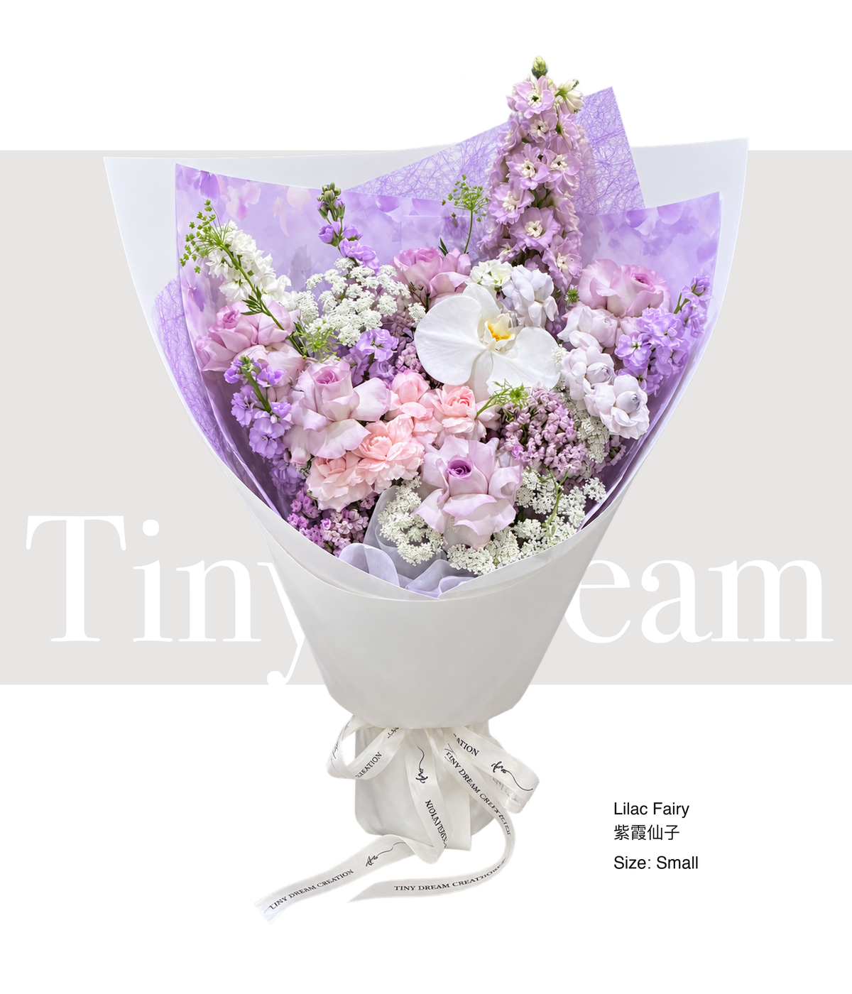 Lilac Fairy 紫霞仙子 product image
