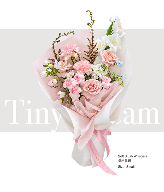 Soft Blush Whispers 柔粉絮语 product image