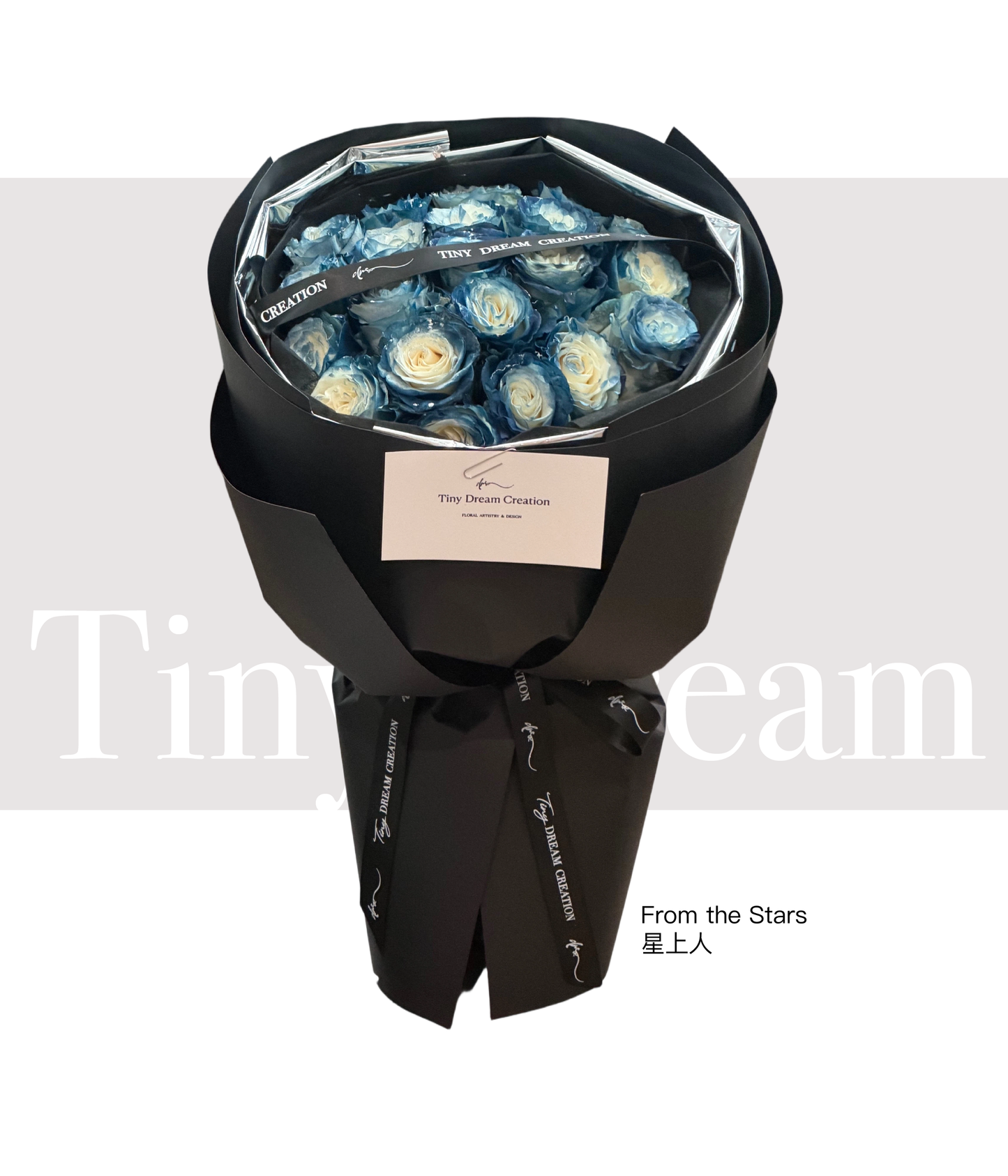 From the Stars 星上人