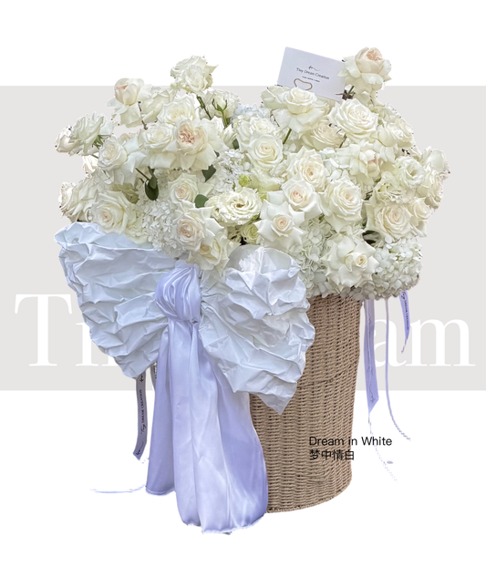 Dream in White 梦中情白