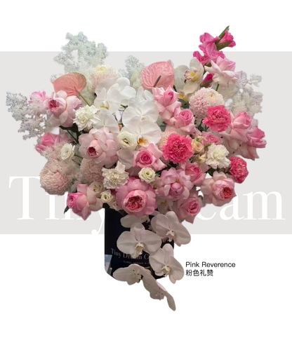 Pink Reverence 粉色礼赞